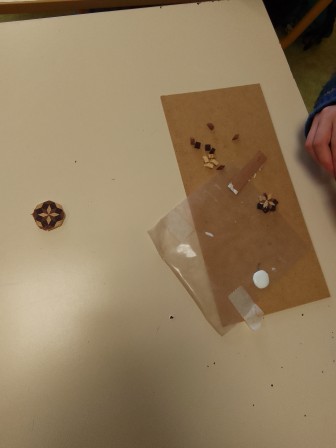 IMG_20260205_141208.jpg, fév. 2026 IMG_20260205_141208.jpg